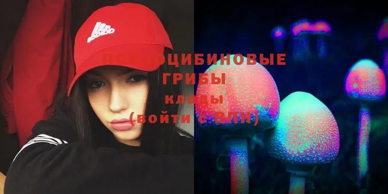 Псилоцибиновые грибы Psilocybine cubensis  OMG зеркало  Бирюсинск 